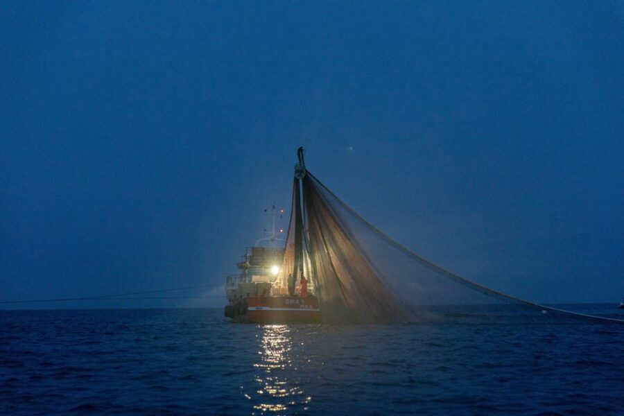 Rovinj: Sunrise Dolphins & Fishermen at Work Speedboat Tour - The ride back and the Rovinj sea views: how the tour closes