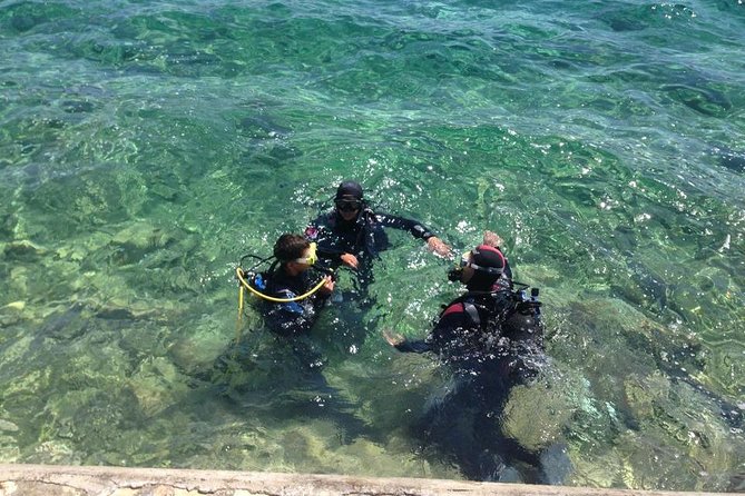 Scuba Diving for Beginners in Pula - House reef open-water session: what you’re there to see