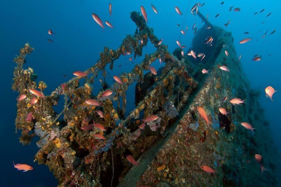 Scuba Diving in Dubrovnik: 1 Dive for Certified Divers - Blue Planet’s 150-minute certified scuba setup in Dubrovnik Palace