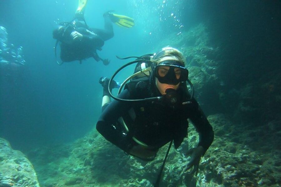 Scuba Diving in Dubrovnik: 1 Dive for Certified Divers - Taranto Shipwreck: a 1899 merchant vessel with WWII ties