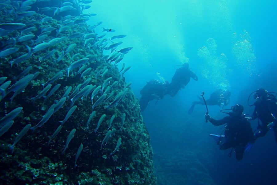 Scuba Diving in Dubrovnik: 1 Dive for Certified Divers - Tomislav on Lokrum: sunken treasure near Dubrovnik’s green oasis