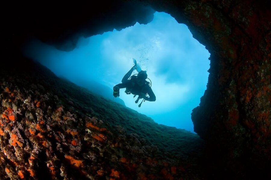 Scuba Diving in Dubrovnik: 1 Dive for Certified Divers - Price and value: how $94 lines up with what you get