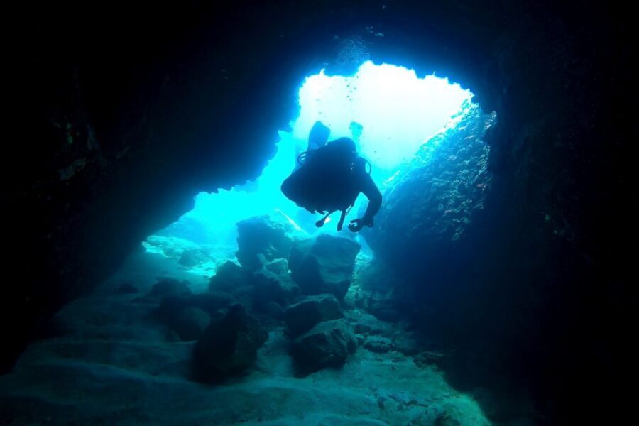 Scuba Diving in Dubrovnik: 1 Dive for Certified Divers - Who this underwater session suits best (and who should rethink it)
