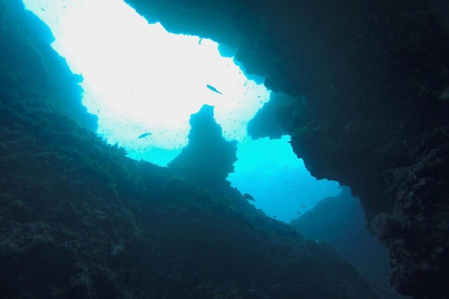 Scuba Diving in Dubrovnik: 1 Dive for Certified Divers - Picking your underwater location: reefs, caves, caverns, and wrecks