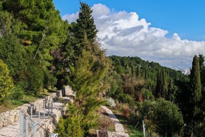 Secret Marjan Park Hiking Tour in Split - The 3-Hour Plan: Small Group, Real Walking, Clear Focus