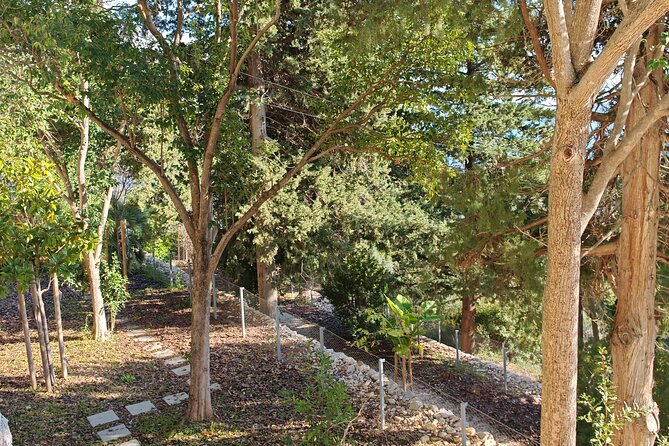 Secret Marjan Park Hiking Tour in Split - Who Should Book This Hike (and Who Should Skip It)