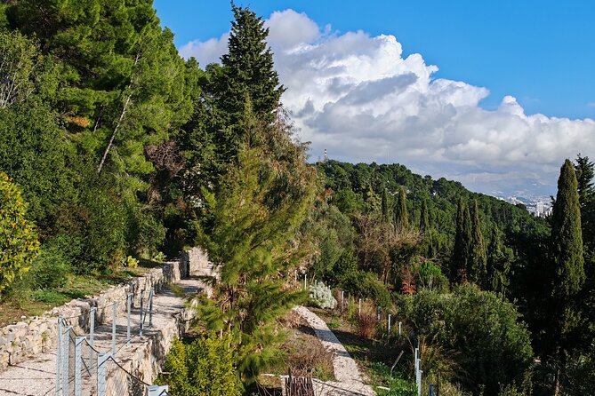 Secret Marjan Park Hiking Tour in Split - The 3-Hour Plan: Small Group, Real Walking, Clear Focus