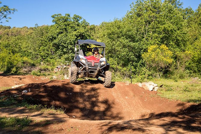 Self-drive Off Road Buggy - Key Highlights You’ll Feel Immediately