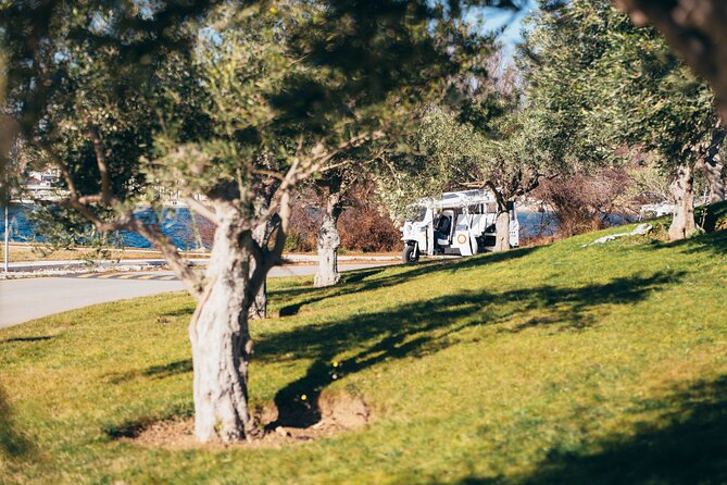 Šibenik: 3 fortresses; City&wine tour; tasting and all fees inc - Pacing reality: what the 3-hour format feels like
