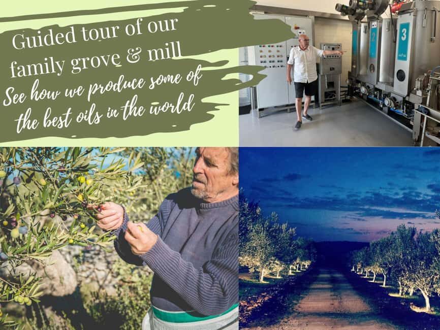 Šibenik: Croatia in a Day, Vistas, History, Olive Oil, Wine - Booking decision: should you book it?