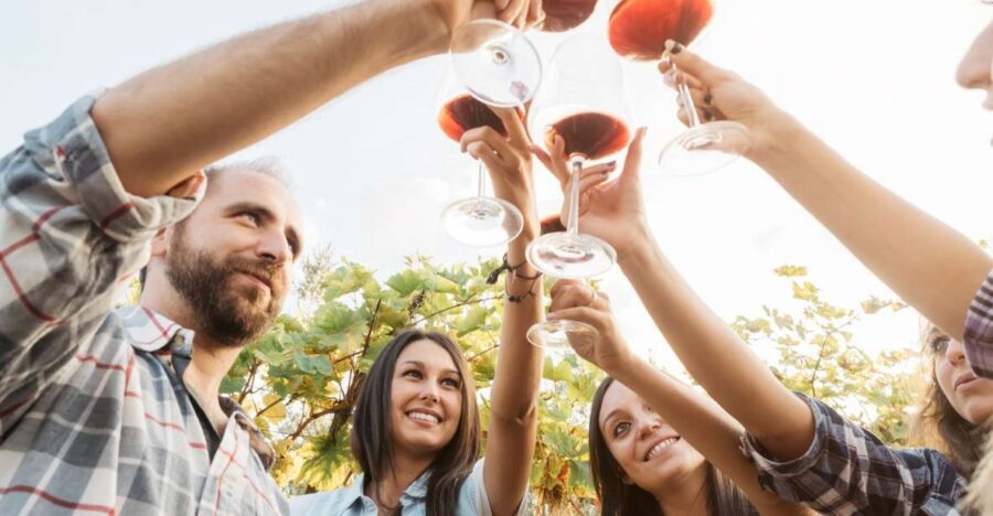 Šišan: Wine Tasting: Organic Wines of Southern Istria - Key things I’d plan around
