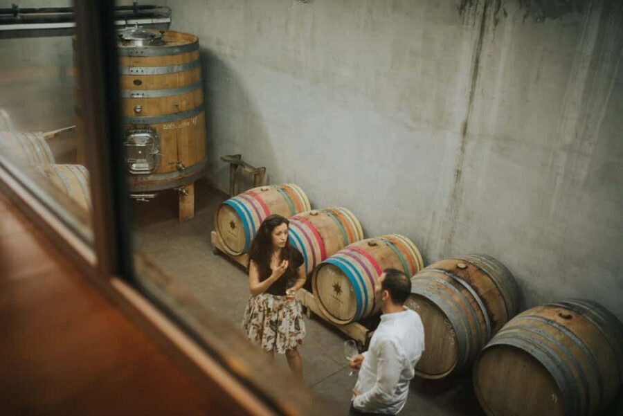 Šišan: Wine Tasting: Organic Wines of Southern Istria - Price and Logistics for a $64, No-Pickup Session