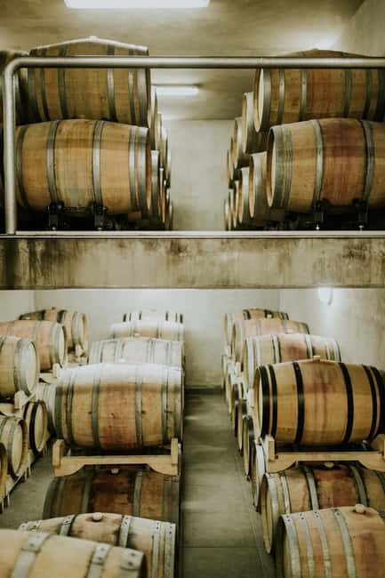 Šišan: Wine Tasting: Organic Wines of Southern Istria - Who This Fits Best (and Who Might Want a Different Style)