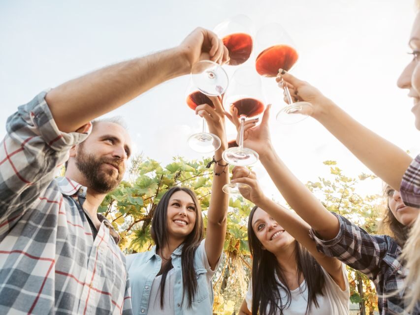 Šišan: Wine Tasting: Organic Wines of Southern Istria - The 90-Minute Flow: From Terroir Intro to Six Bottles
