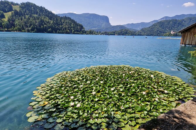 Slovenia's highlights: Bled lake and Ljubljana Full-Day Private Tour from Zagreb - Bled Castle and the Steep Walk Reality Check
