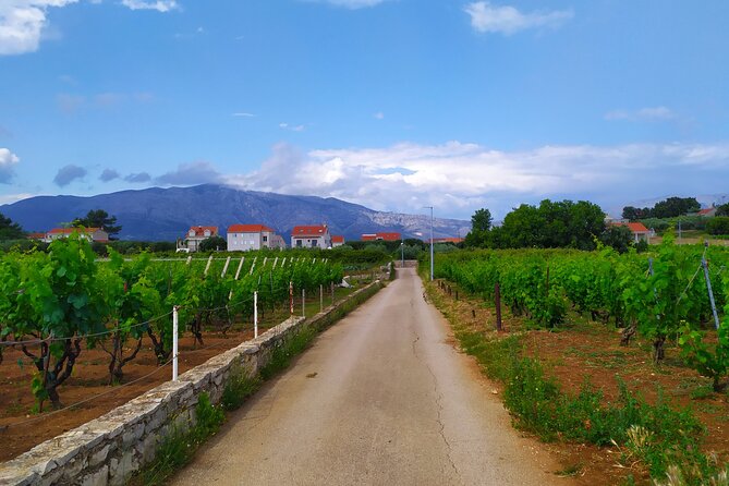 Slurp of Grk Korcula Wine Tour | Wine Tasting in Lumbarda - Two family wineries: the tasting flow and what’s included