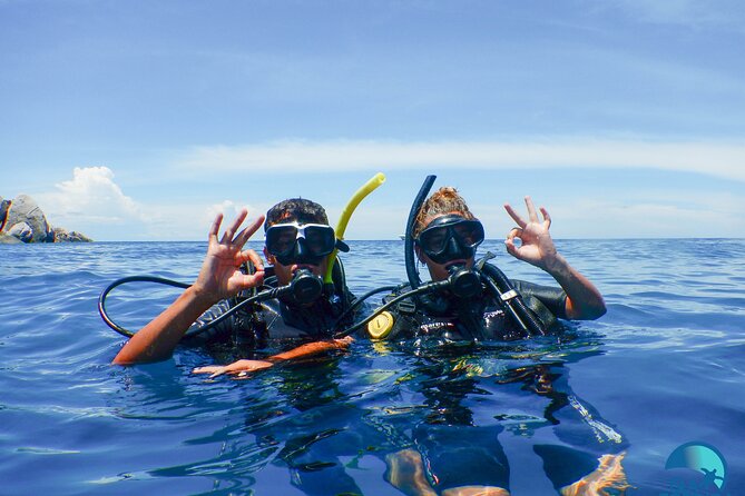 Small-Group Introductory Scuba Diving in Pula - Key Highlights to Know Before You Go