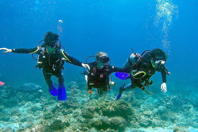 Small-Group Introductory Scuba Diving in Pula - Orca Centre Meeting Point: Yacht Bar Check-In Under the Yacht Club