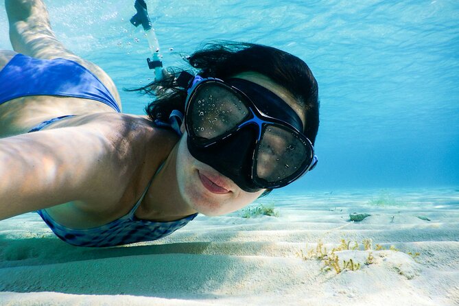 Small group tour by premium yacht to Elaphite Islands - Key highlights to know before you go