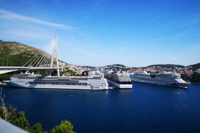 Small grup Highlights of Dubrovnik Panorama Tour - The guide factor: Elvir’s stories, photo help, and peace context