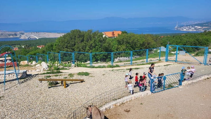 Šmrika (near Rijeka/Krk/Crikvenica) Donkey Farm Family Fun - Your first minutes: how the visit starts and how groups work