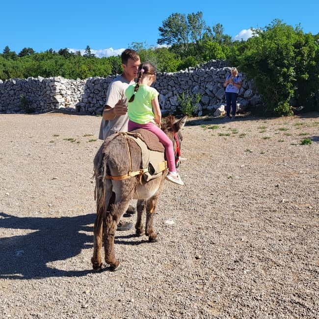 Šmrika (near Rijeka/Krk/Crikvenica) Donkey Farm Family Fun - Kid donkey rides (up to 35 kg): gentle fun with real handling