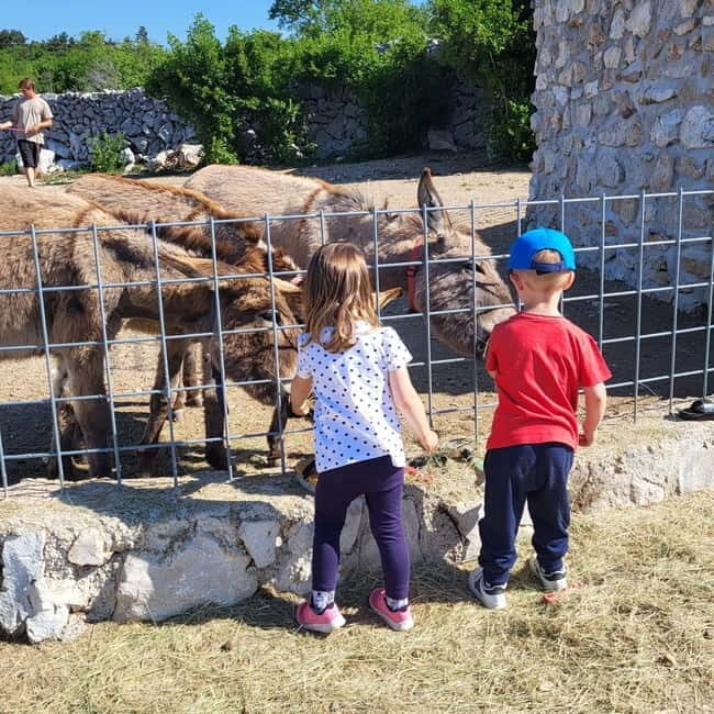 Šmrika (near Rijeka/Krk/Crikvenica) Donkey Farm Family Fun - Donkey milk talk and what to expect (without the hype)