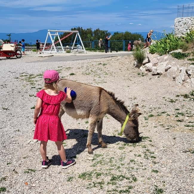 Šmrika (near Rijeka/Krk/Crikvenica) Donkey Farm Family Fun - Getting there from Rijeka/Krk: follow the Križišće turnoff