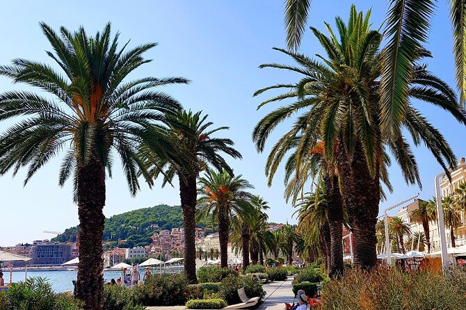 Split and Ston private tour or transfer - Ston stop: walking the old walls and learning sea salt basics