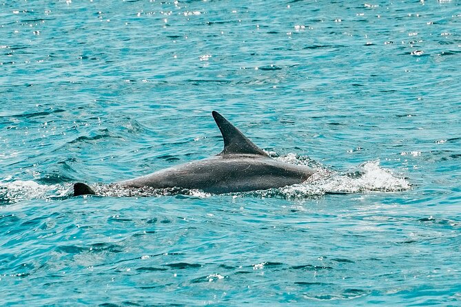 Split: Blue Lagoon & 3 Island Cruise with Wine & Snorkeling - Blue Lagoon and islands in 5 hours: a smart Split half-day