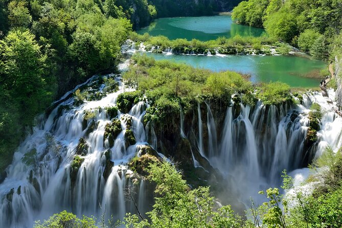Split City Tour By Electric Rickshaw┃Riva Ride - Sustipan Park and Views: The Moment Split Turns Calmer