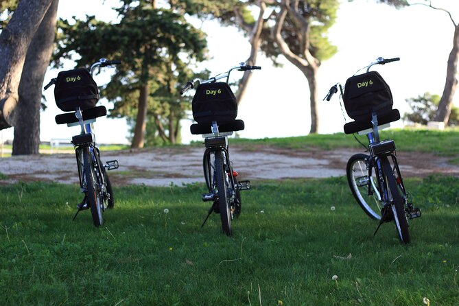 Split Electric Bicycle Tour - The Marjan Park stop: viewpoints, paths, and why the scenery feels close