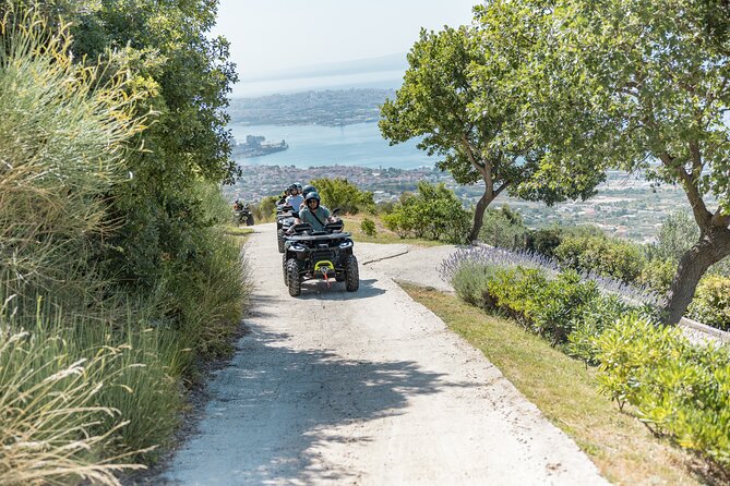 Split/Kaštela - Zinfandel Roots Off-road ATV Quad Adventure - Stop 3: Stomorija Biblical Garden, the 1998 Pope John Paul II olive tree, and grape roots