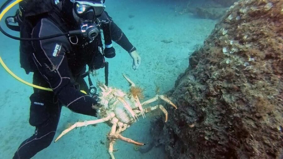 Split-Makarska-Brela Try SCUBA Dive - Minimum 45 minutes underwater: what extra time actually buys you