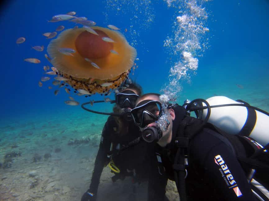 Split-Makarska-Brela Try SCUBA Dive - Meeting right on the beach: five meters to the water in Brela