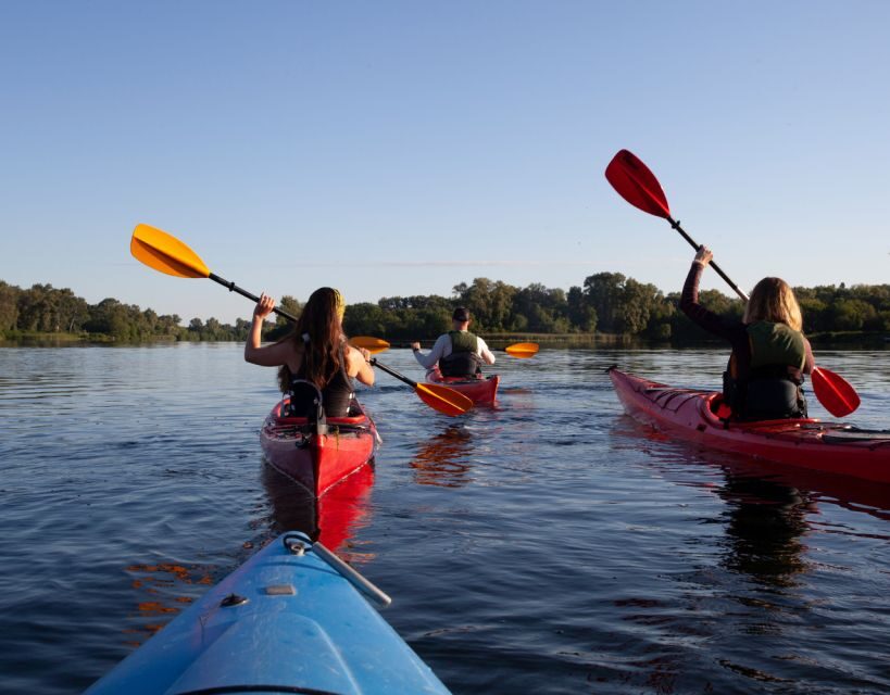 Split/Omiš - Guided River & Sea Kayaking + Snorkeling Tour - Who should book (and who should think twice)