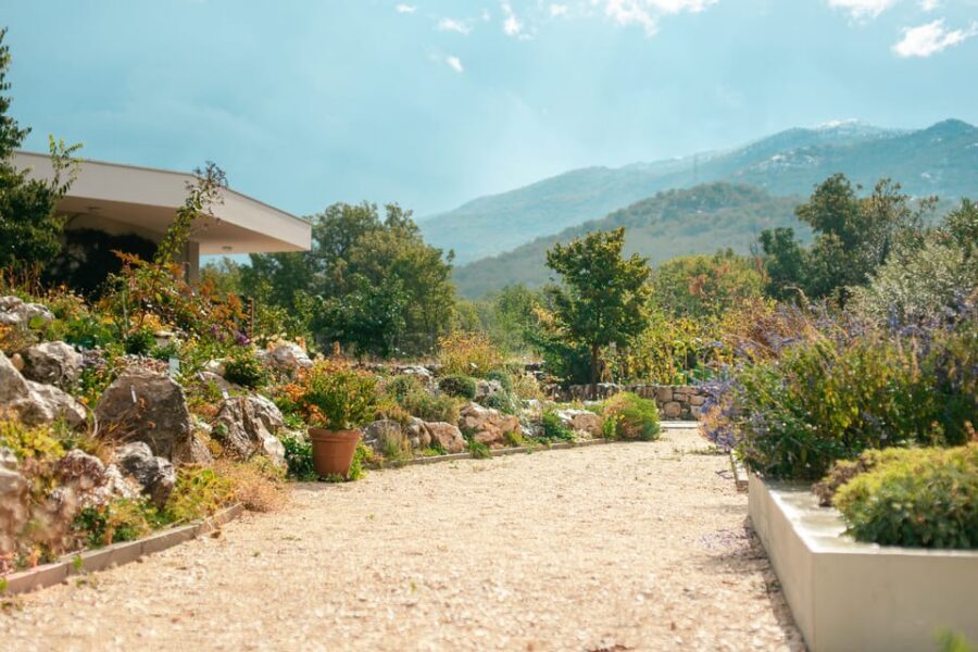 Split: Private tour to Klis Fortress and Vranjača cave - Stella Croatica Ethno-Agro Park: olive culture plus plant-based products