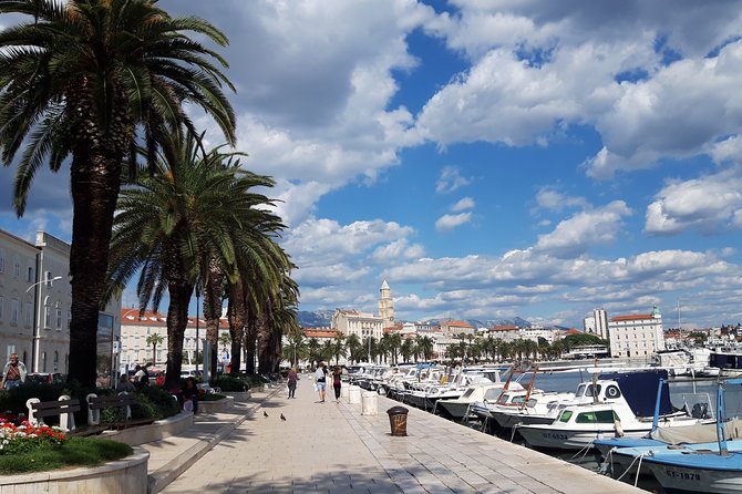SPLIT-PRIVATE Walking Tour of Diocletian's Palace & Old Town - Key Highlights You’ll Notice Fast