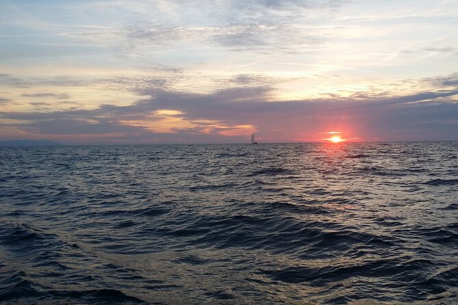 Split: Small-Group Half Day Sailing Trip - Key things to know before you sail