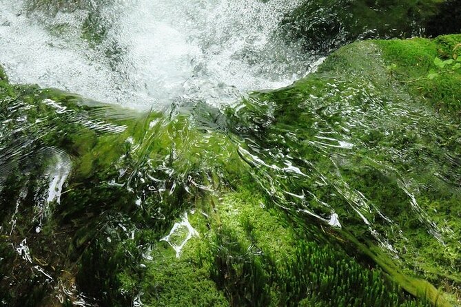 Split to Zagreb or airport Zagreb via Plitvice lakes for singles or couples - Plitvice Lakes: the four-hour self-exploration mindset