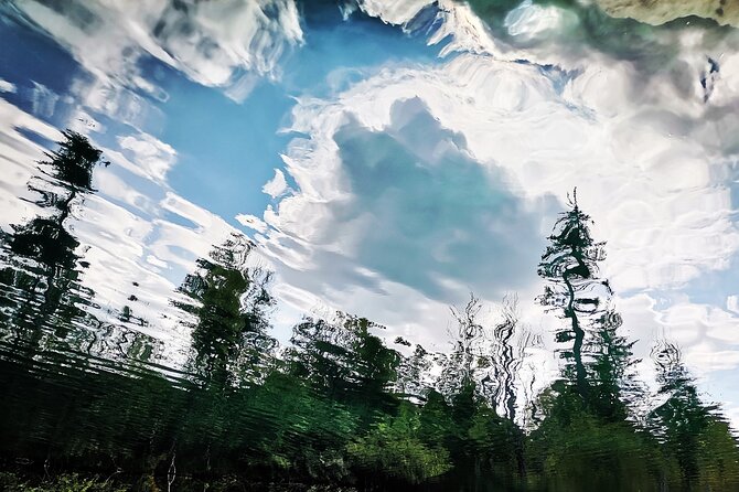 Split to Zagreb or airport Zagreb via Plitvice lakes for singles or couples - How the driver tips improve your Plitvice time