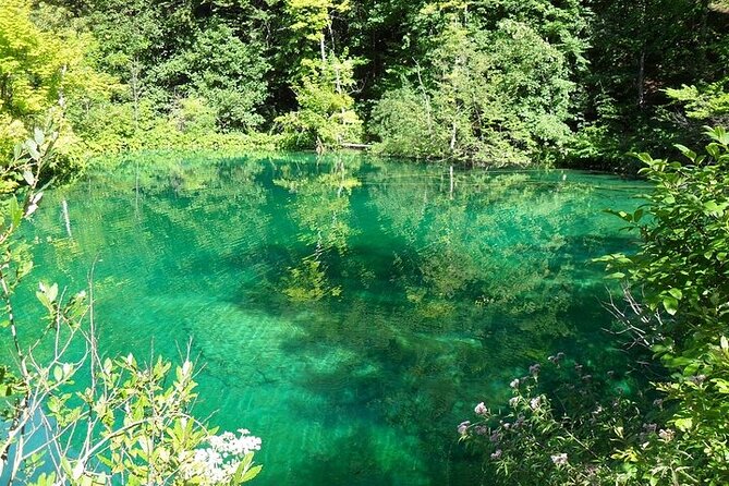 Split to Zagreb or airport Zagreb via Plitvice lakes for singles or couples - Food and drinks: plan for a real-world gap