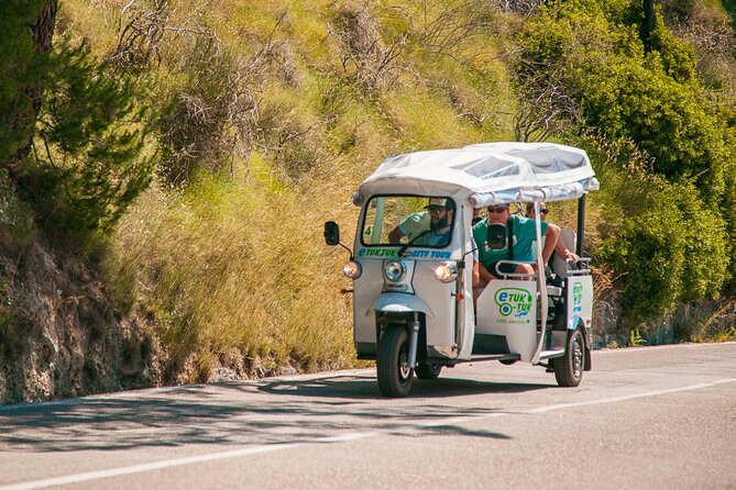 Split Tour by Electric Tuk-Tuk: Top City Highlights - Archaeological Museum and Meštrović Gallery: culture stops where tickets may matter