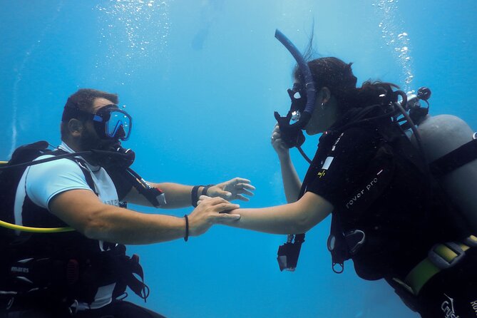 SSI Open Water Diver Course - Price and value: what $583.42 buys you in Pula