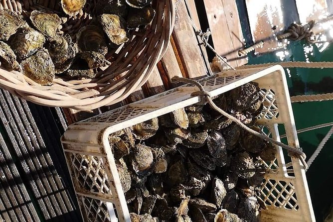 Ston Gastro Tour - Ston Town Walk, Salt Factory Option, and the City Walls Decision