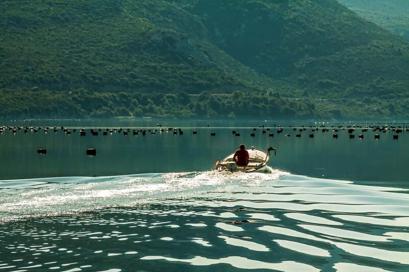 Ston Oyster & Wine Tasting Private Tour From Dubrovnik - Key things to love about this Dubrovnik-to-Ston day
