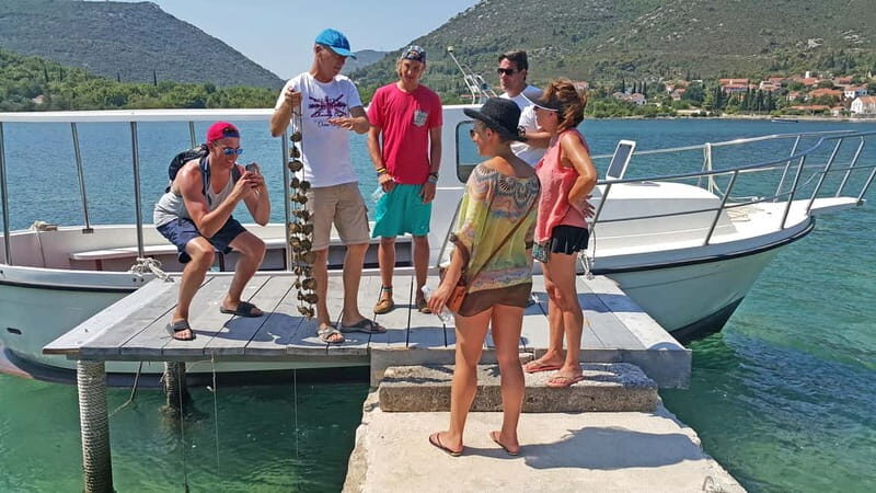 Ston Oyster & Wine Tasting Private Tour From Dubrovnik - Hodilje oyster-farm boat ride: a working-world viewpoint