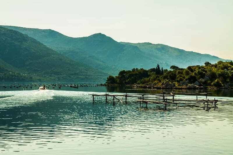 Ston Oyster & Wine Tasting Private Tour From Dubrovnik - Ostrog lunch: five oysters, Buzara mussels, and domestic wine