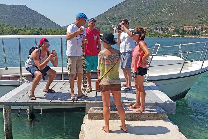 Ston Oysters & Wine Tasting Tour from Dubrovnik - Key highlights worth your attention
