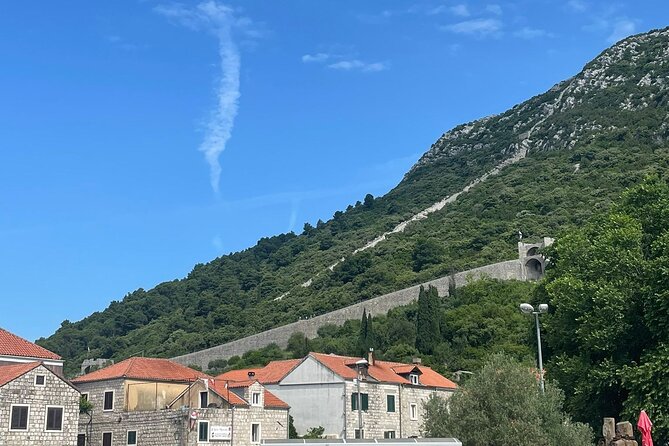 Ston Seafood & Pelješa Wine Boat Tour with Oysters and Mussels - Broce and Škurla Winery: Wine Tasting That’s Part of the Story